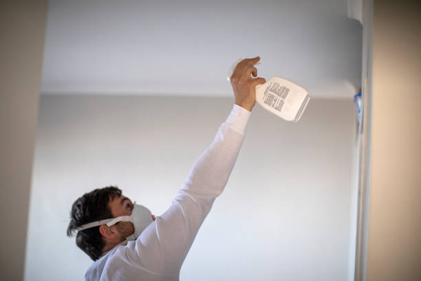 Best Local Mold Removal Service  in Wortham, TX